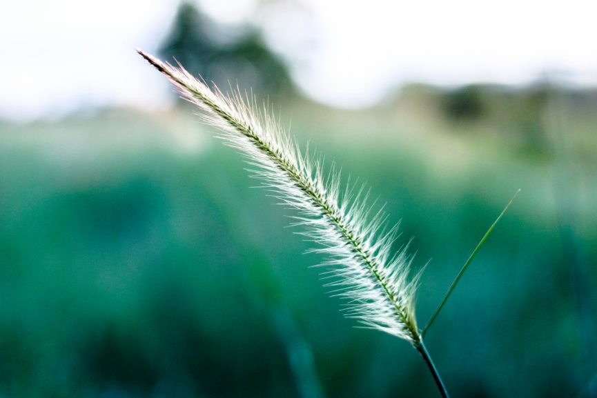 Naturen kan få dig til at slappe af